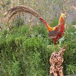 Ұ������